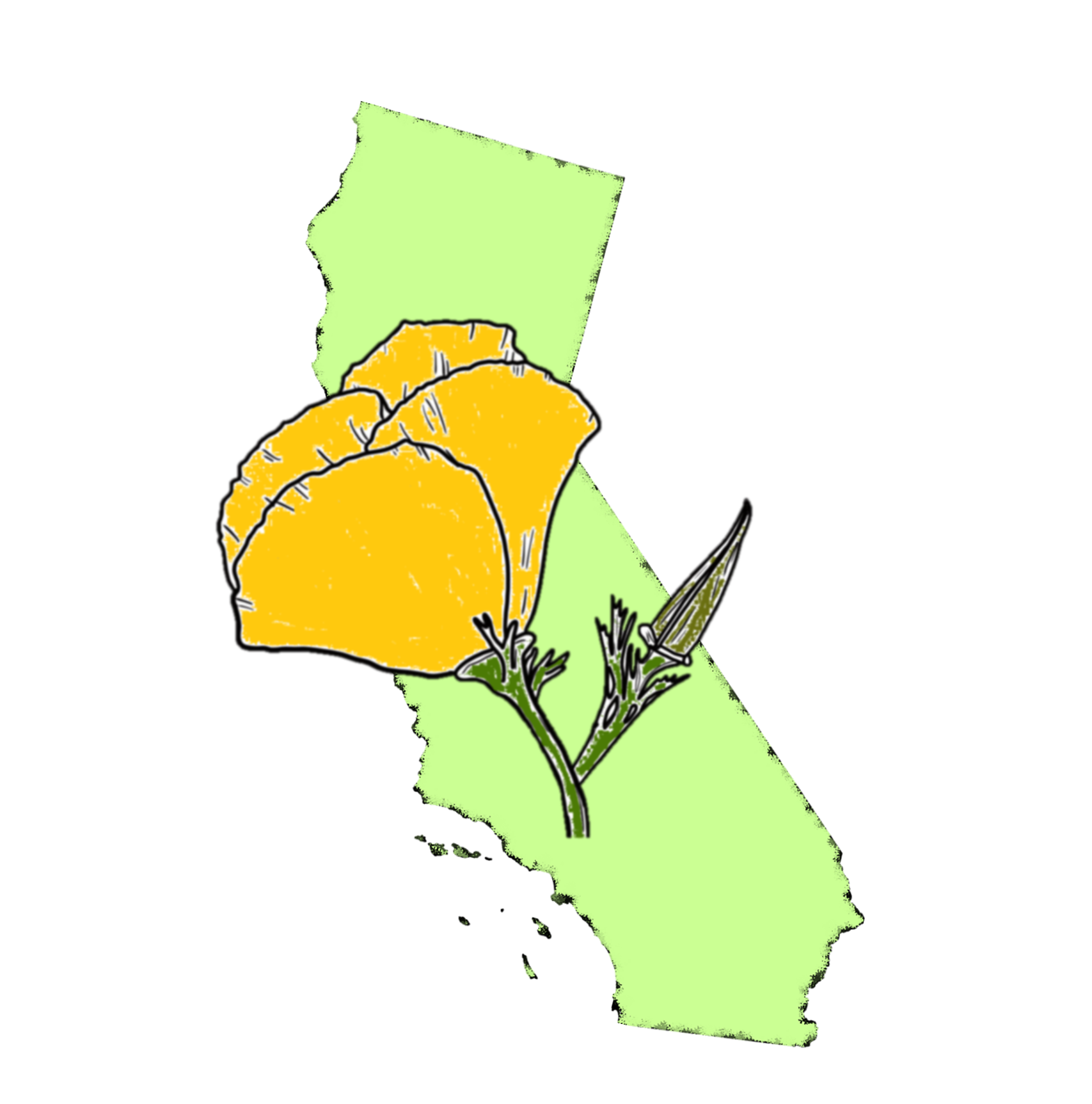 Capturing California's Flowers: The CAP Network logo