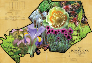 Knox County Plants Through Time logo